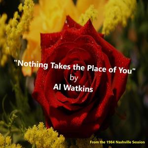 Nothing Takes the Place of You