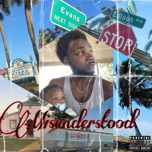 Misunderstood (Explicit)