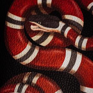 The Real Illuminati (feat. 5G, Sub9k & TrippJones) (Explicit)