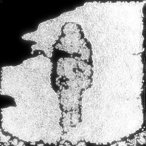 par où commencer ? (reupload) (Explicit)