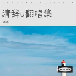 仲夏·晚风和你 (清辞u remix)封面