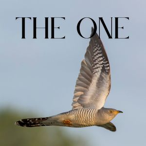 The One