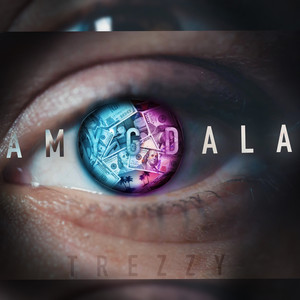 Amygdala (Explicit)