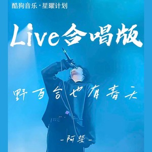 野百合也有春天