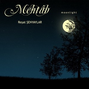 Moonlight (Mehtab)