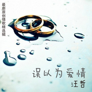 小爱情封面
