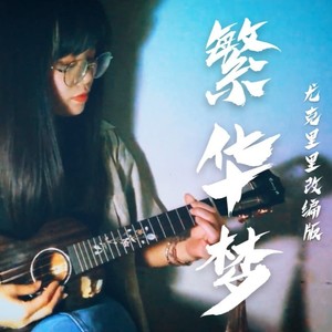 繁华梦封面