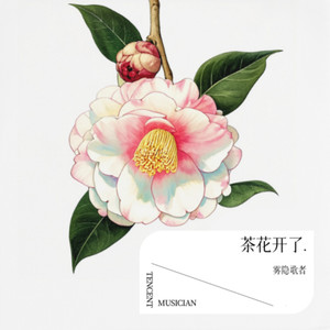 茶花开了