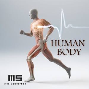 MUSIC SCULPTOR, Vol. 7: Human Body