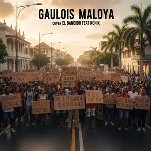 GAULOIS MALOYA
