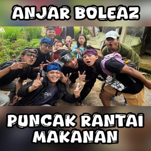 Puncak Rantai Makanan