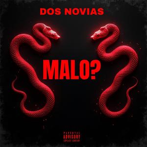 Dos Novias (feat. Panic & Stiwar Dj)