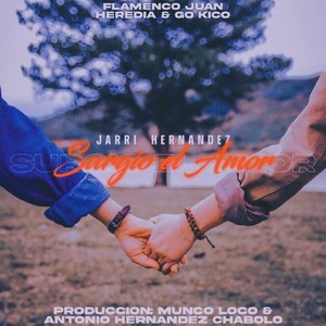Surgió el Amor