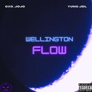 Wellington flow (Explicit)