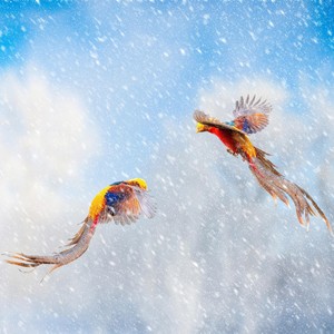 筋骨慢痛百问百答