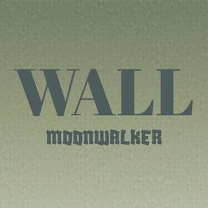 Wall Moonwalker