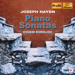 HAYDN: Piano Sonatas Nos. 6, 33, 38, 60 / Un piccolo divertimento