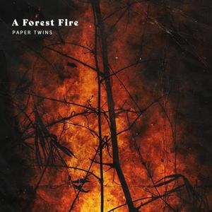 A Forest Fire