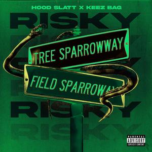 Risky (feat. Keez Bag) [Explicit]