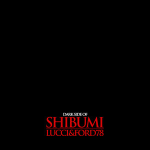 Dark Side Of Shibumi (Explicit)