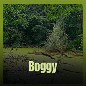 Boggy