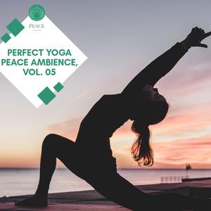 Perfect Yoga Peace Ambience, Vol. 05