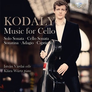 Sonata for Cello in B Minor, Op. 8 - I. Allegro maestoso ma appassionato