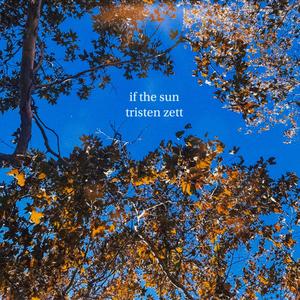 If The Sun (Explicit)