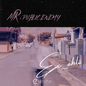 Mr. Public Enemy (Explicit)