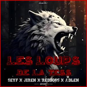 Les loups de la tess (feat. Jiren, Redboss & Adlene)