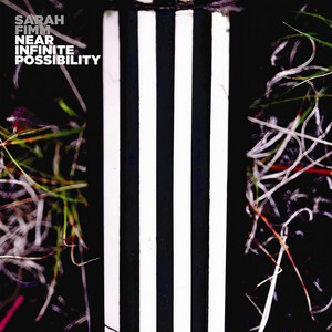 Everything Becomes Whole(feat. Dan Fimm, John Andrews, Dan Goodwin, David Baron & Brian Viglione)