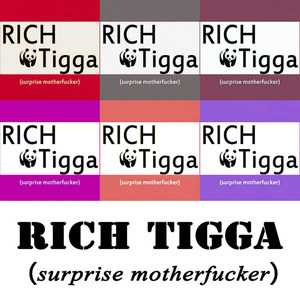 RICH TIGGA(surprise mother****er)
