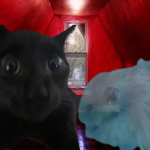 Ready For The House Remake (Explicit)