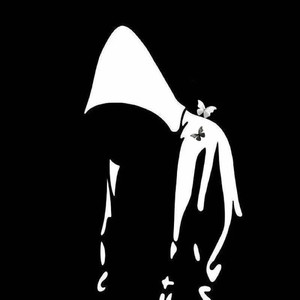 野人封面