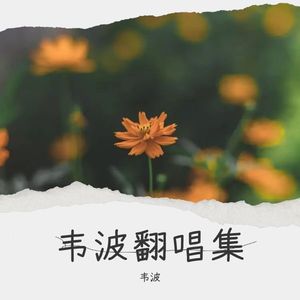 韦波翻唱集