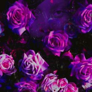 Take Me Bacc (Explicit)