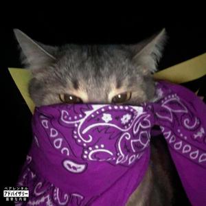 Clonas (Explicit)