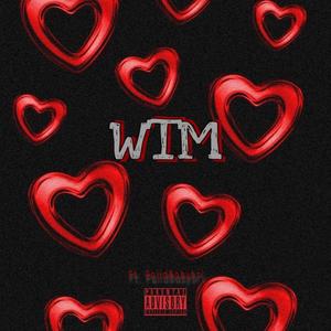 WTM (feat. Paiidbabybri) [Explicit]