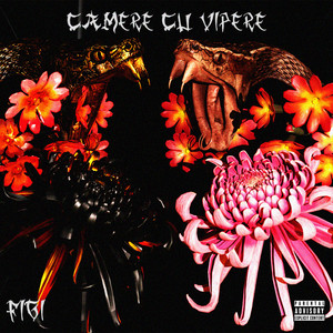 Camere cu Vipere (Explicit)