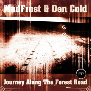 Journey Along The Forest Road