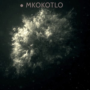 Mkokotlo