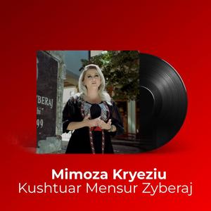 Kushtuar Mensur Zyberaj dëshmor