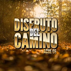 DISFRUTO DEL CAMINO