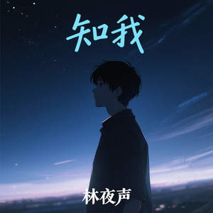 林夜声 - 知我