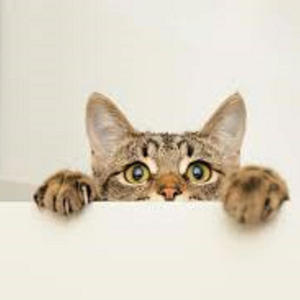 I Shot The Kids In The Head (feat. BBCDaddy) (Explicit)