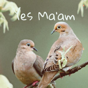 Yes Ma'am (feat. Kbheem) (Explicit)