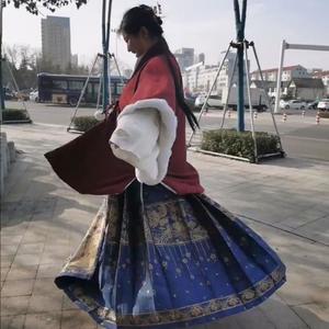 茶烨酱 - 晚夜微雨问海棠 (女声版)