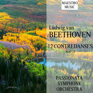 Beethoven: 12 Contredanses, Woo 14