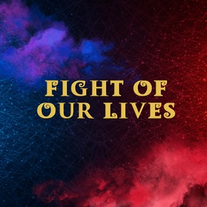Fight Of Our Lives - Descendientes (COVER版)