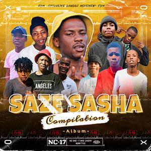 Saze Sasha Complilation Album (feat. Boisiin Tee Vocalist) [Explicit]